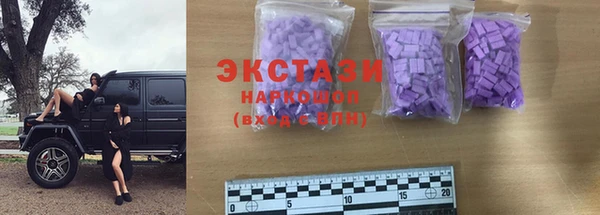 индика Медвежьегорск