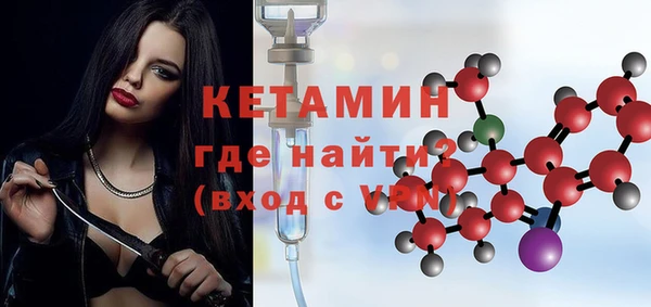 индика Медвежьегорск