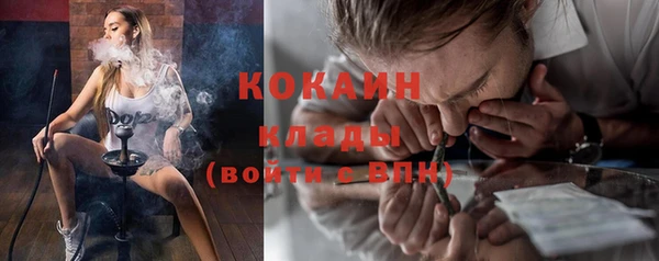 индика Медвежьегорск