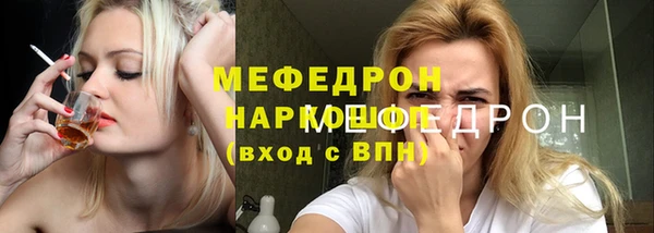индика Медвежьегорск