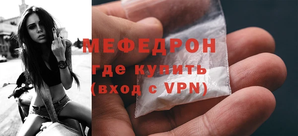 индика Медвежьегорск