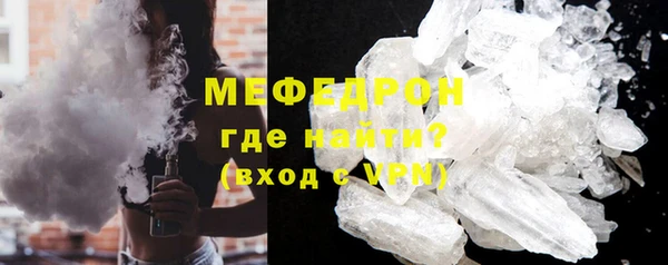 индика Медвежьегорск