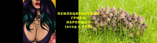индика Медвежьегорск