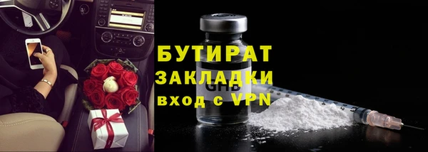 индика Медвежьегорск