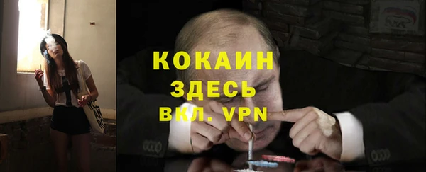 индика Медвежьегорск