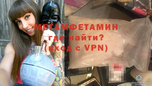 индика Медвежьегорск