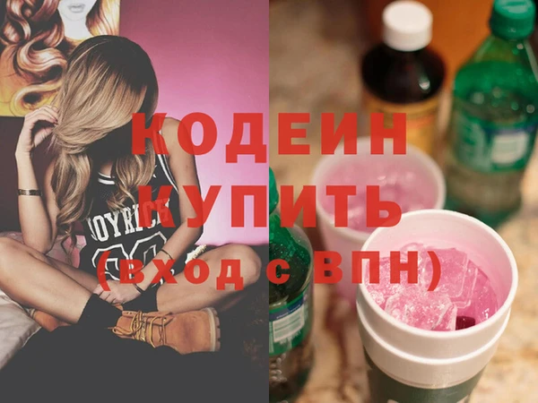 индика Медвежьегорск
