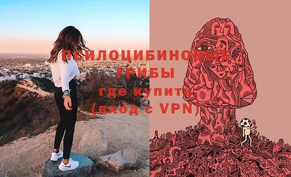 индика Медвежьегорск