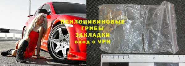 индика Медвежьегорск