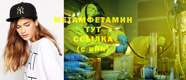 индика Медвежьегорск