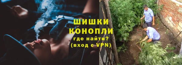 индика Медвежьегорск