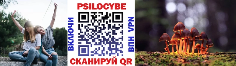 Галлюциногенные грибы Psilocybine cubensis  Зарайск 